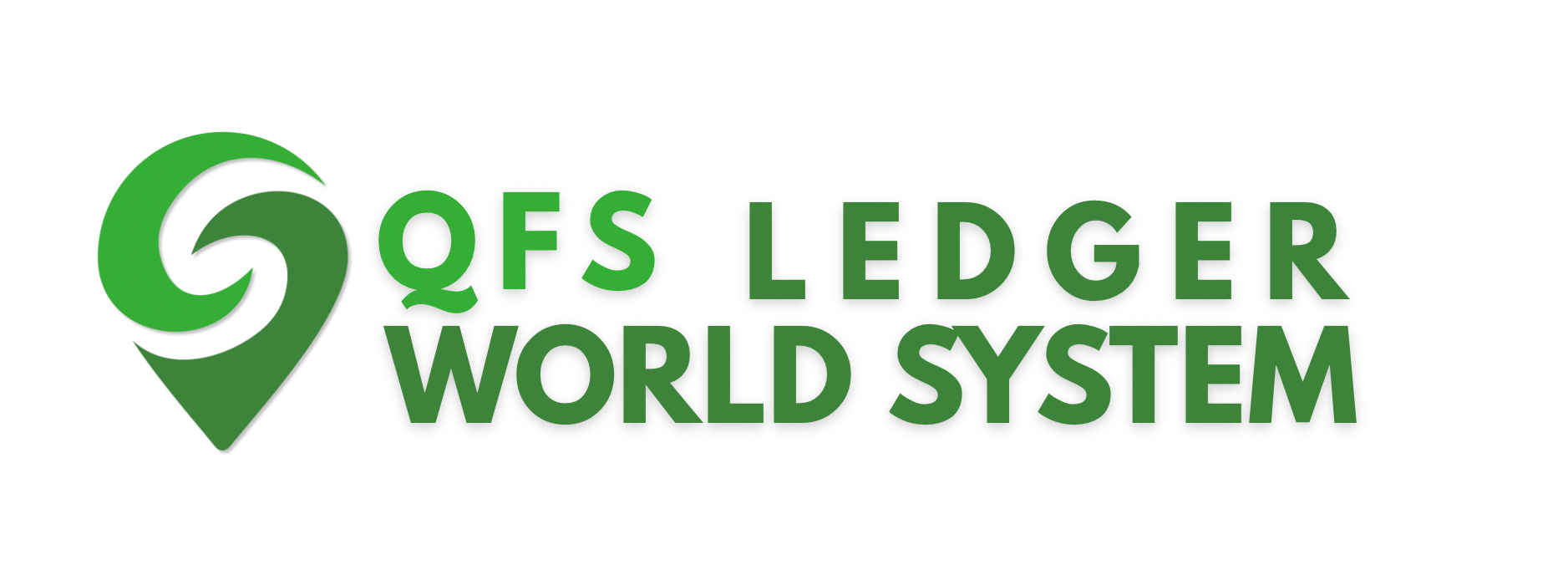 QFS Digital Logo